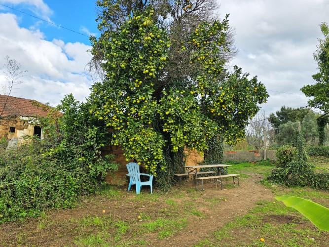 Image No.7-Farmhouse for sale