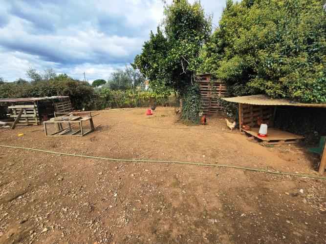 Image No.9-Farmhouse for sale