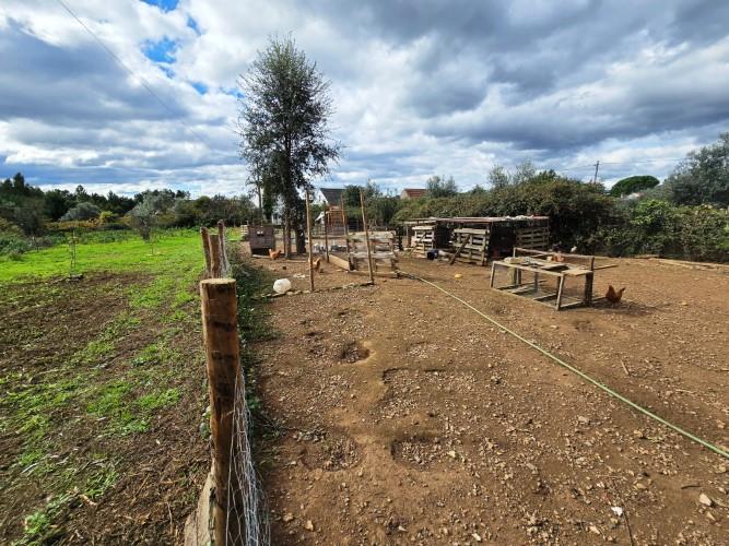 Image No.10-Farmhouse for sale