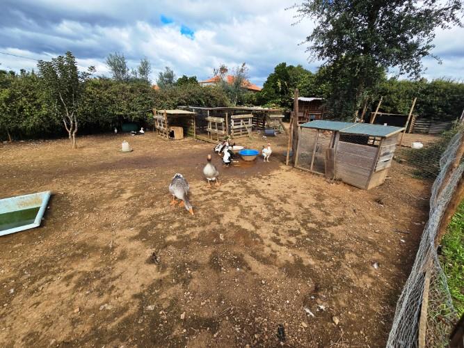 Image No.11-Farmhouse for sale