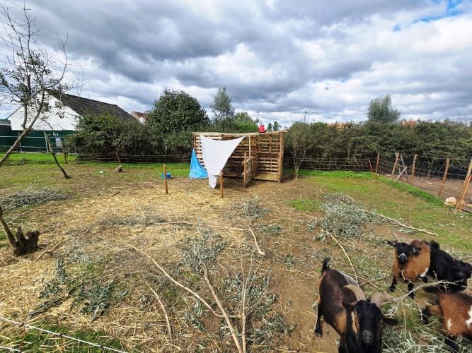 Image No.14-Farmhouse for sale