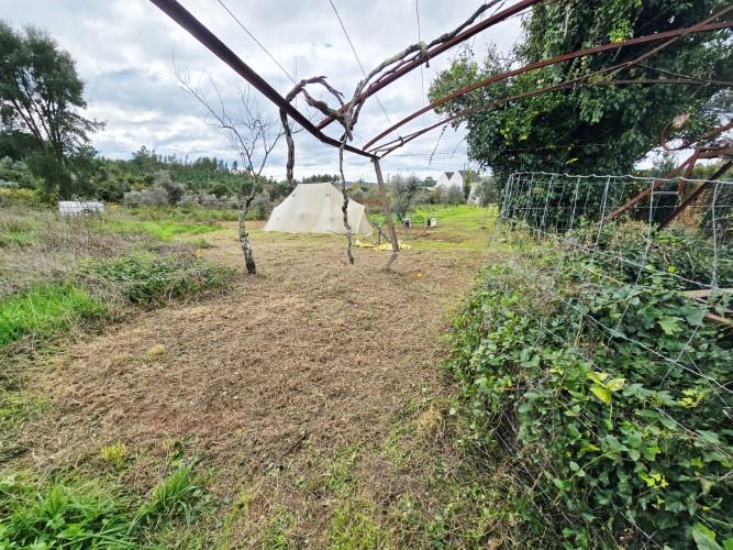 Image No.25-Farmhouse for sale