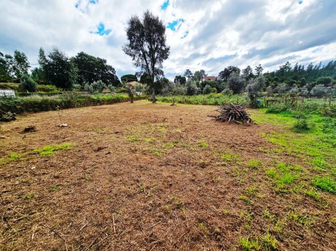 Image No.30-Farmhouse for sale