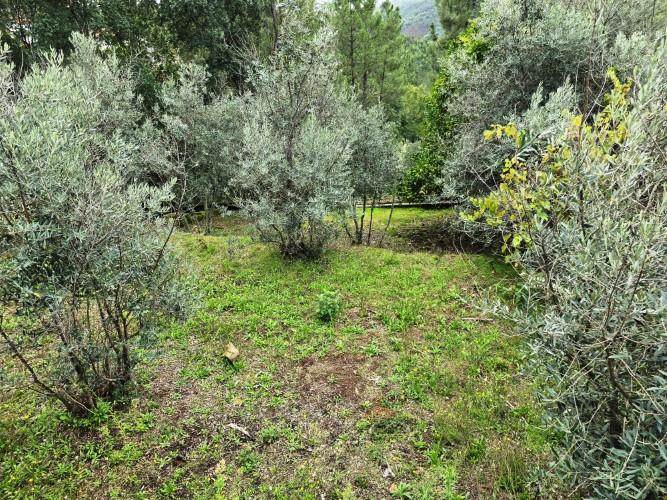 Image No.58-4 Bed Country House for sale