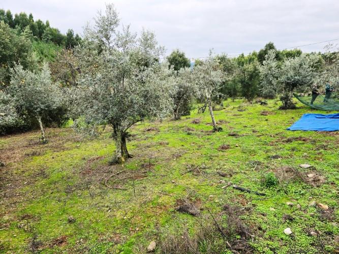 Image No.57-4 Bed Village House for sale