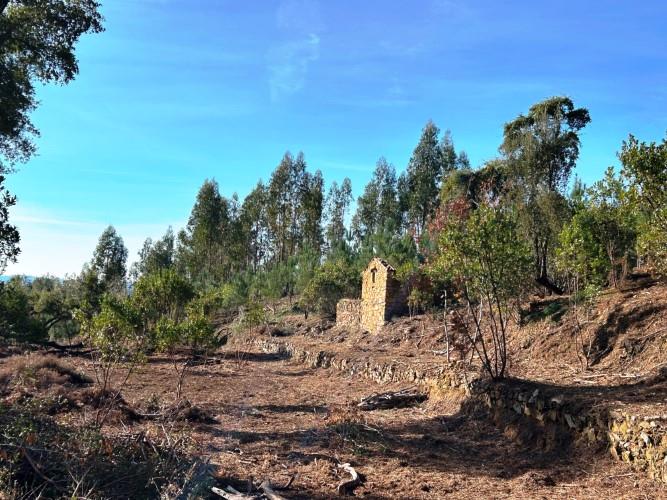 Image No.5-Land for sale