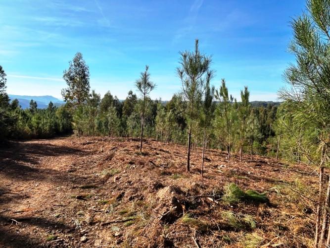 Image No.14-Land for sale