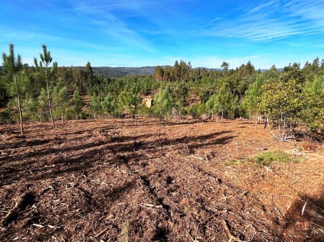 Image No.15-Land for sale