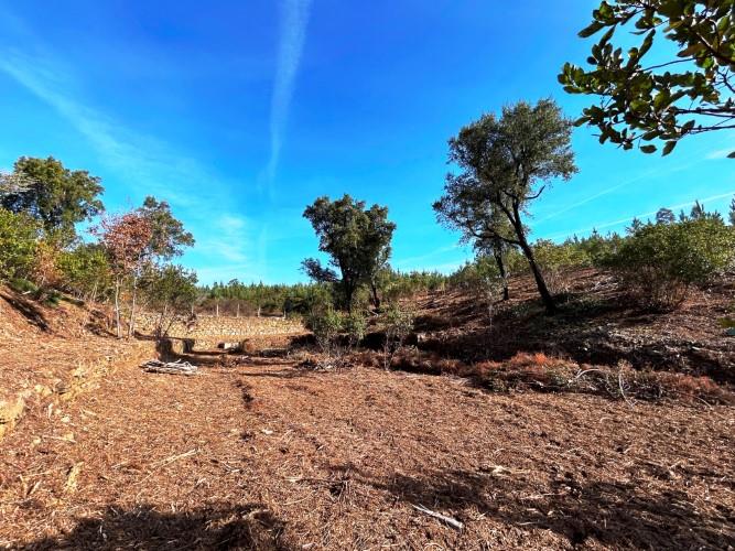 Image No.19-Land for sale