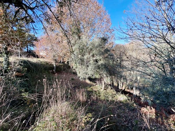 Image No.5-Land for sale