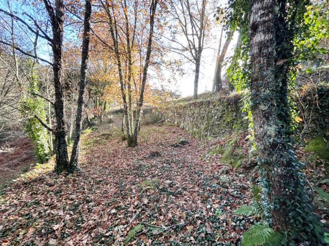 Image No.8-Land for sale