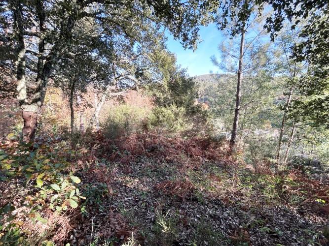 Image No.9-Land for sale