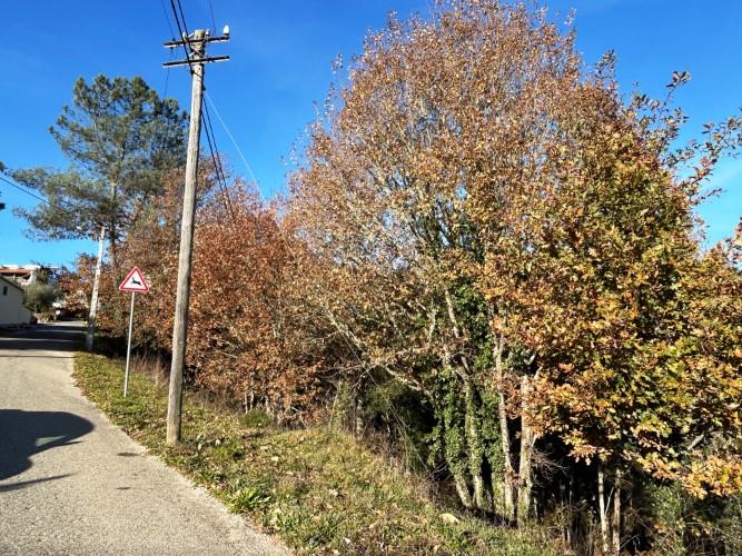 Image No.10-Land for sale