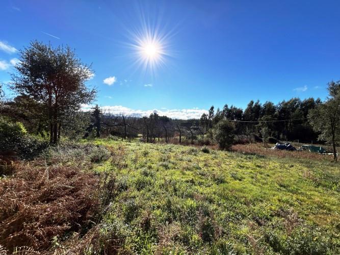 Image No.6-Land for sale