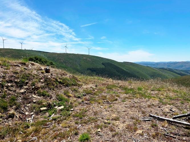 Image No.3-Land for sale