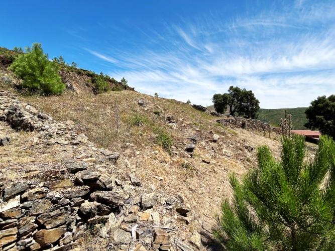 Image No.8-Land for sale