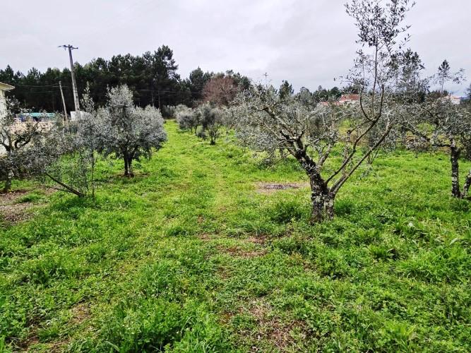 Image No.9-Land for sale