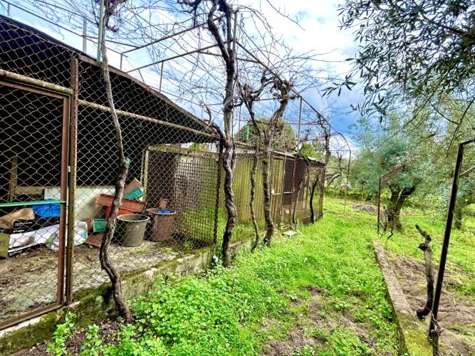 Image No.13-Terrain à vendre à Pedrógão Grande