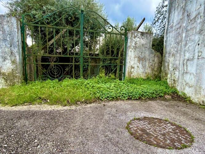 Image No.17-Terrain à vendre à Pedrógão Grande