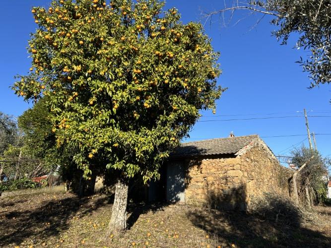 Image No.21-5 Bed Cottage for sale