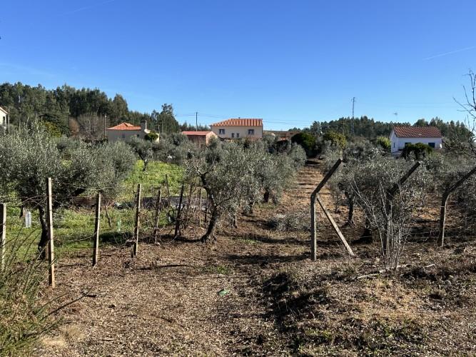 Image No.26-5 Bed Cottage for sale