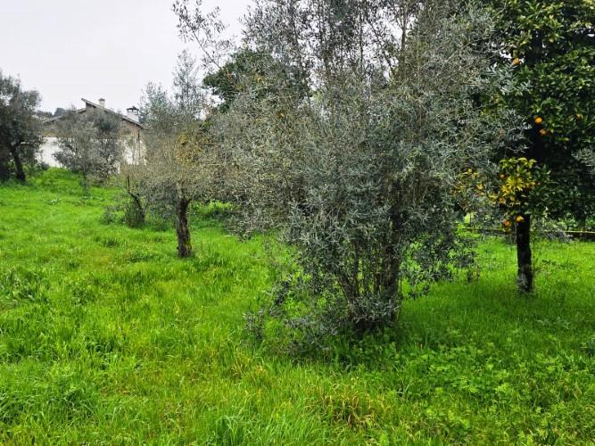 Image No.22-Country House for sale