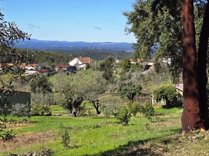 Image No.2-Plot for sale