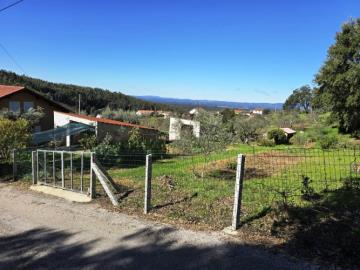 4---1296--NEW---Custom-