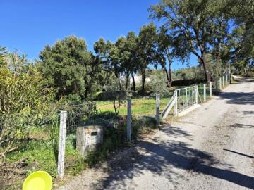 3---1296--NEW---Custom-