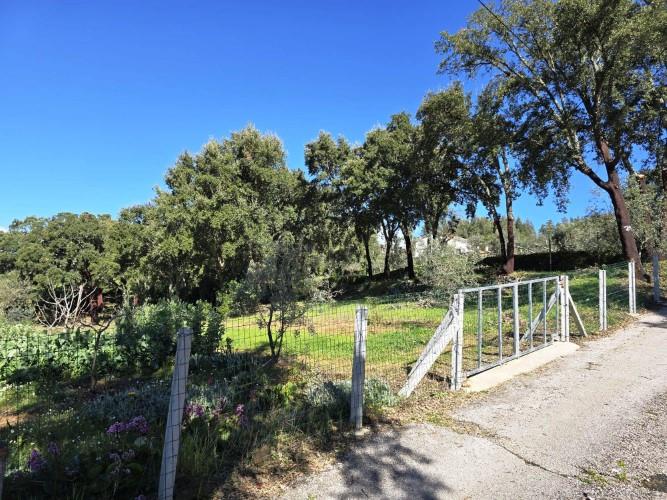 Image No.5-Plot for sale