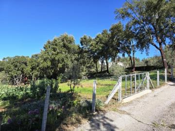 5---1296--NEW---Custom-