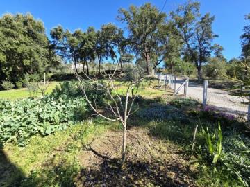 6---1296--NEW---Custom-