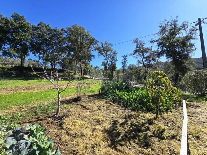 Image No.8-Plot for sale