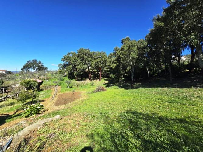 Image No.10-Plot for sale