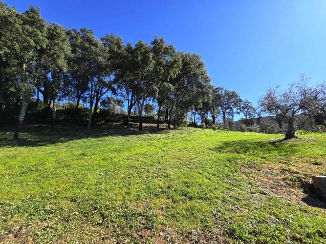 Image No.12-Plot for sale