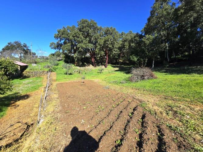 Image No.11-Plot for sale