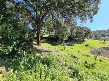 13---1296--NEW---Custom-