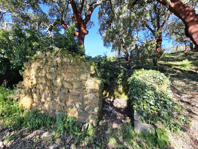 Image No.16-Plot for sale