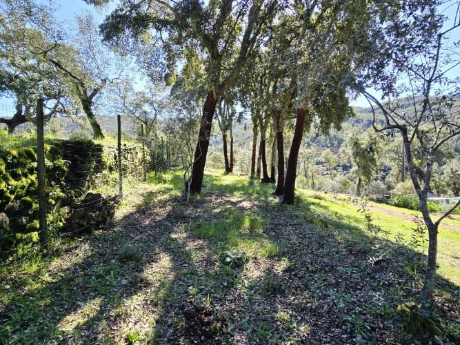 Image No.22-Plot for sale