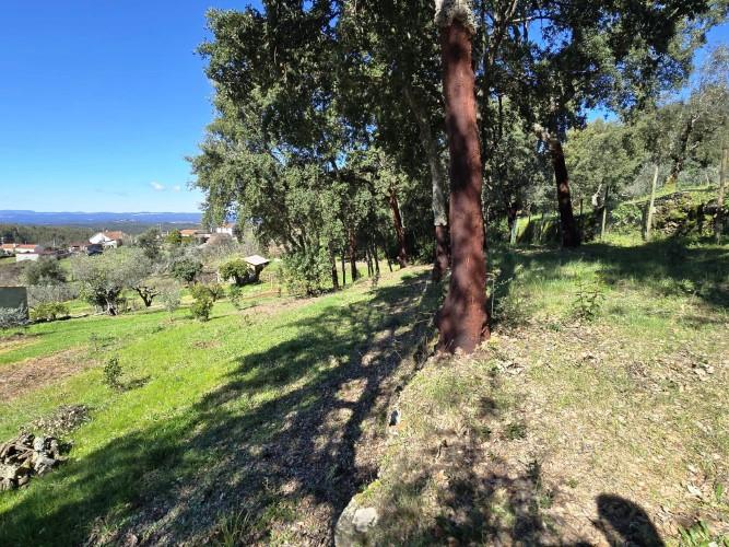 Image No.24-Plot for sale