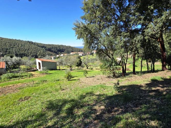 Image No.26-Plot for sale