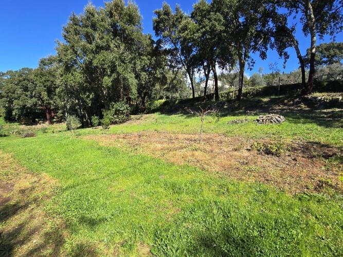 Image No.30-Plot for sale