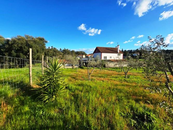 Image No.4-4 Bed House for sale