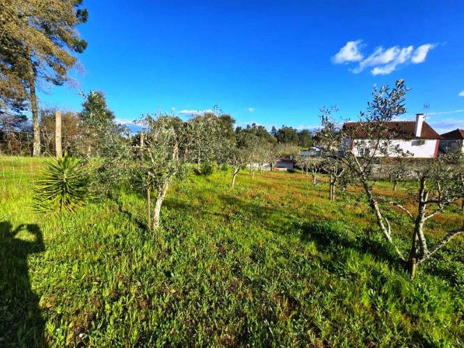 Image No.5-4 Bed House for sale