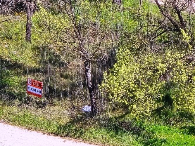 Image No.6-Plot for sale