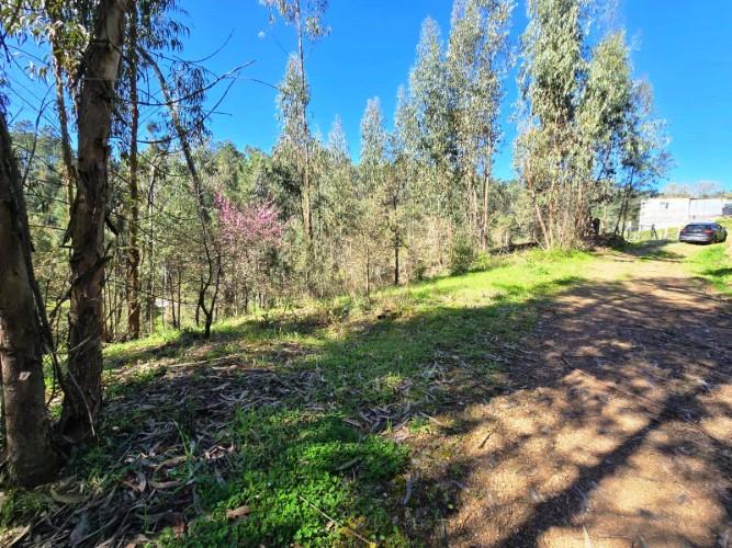 Image No.16-Plot for sale