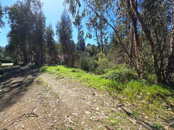 Image No.20-Plot for sale