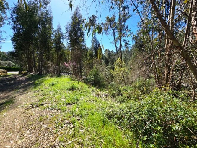 Image No.22-Plot for sale