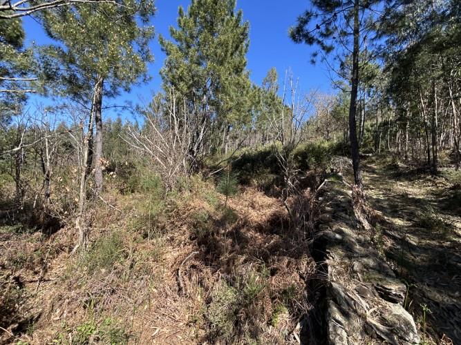 Image No.6-Plot for sale