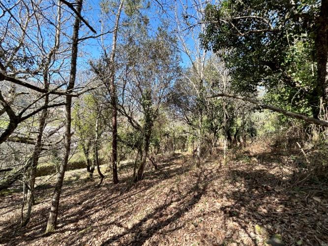 Image No.10-Plot for sale